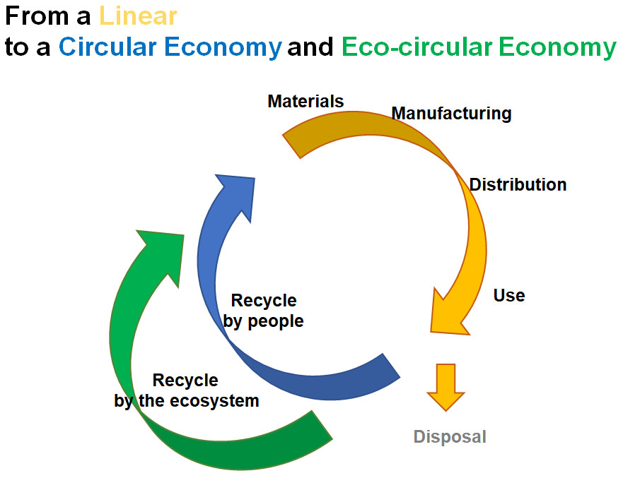 Figure 3: Manufacturing food packaging from CNF allows the ecosystem to recycle the product without human assistance. Remains of the bottle will be metabolized by the next tree which will then be turned into additional CNF. Courtesy: Yokogawa Bio Frontier Inc.
